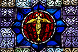 dove